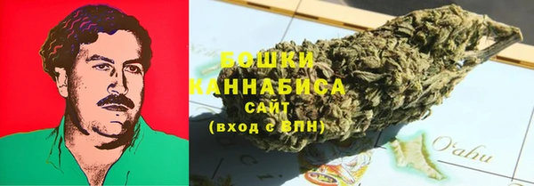 PSILOCYBIN Алексеевка