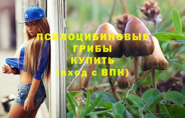 PSILOCYBIN Алексеевка