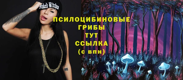 PSILOCYBIN Алексеевка