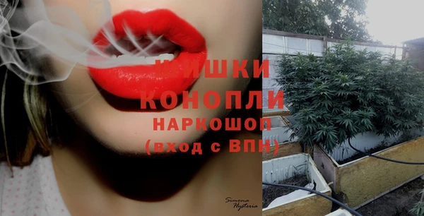 PSILOCYBIN Алексеевка
