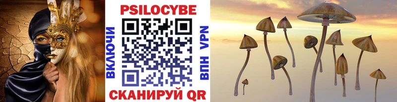 Псилоцибиновые грибы Psilocybe Алупка